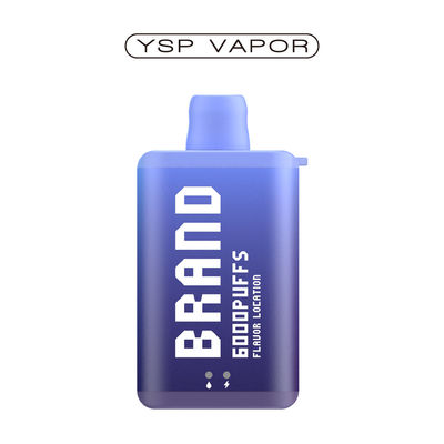 10 ml 6000 Puff Vape E cigarrillo caja de vaporizador descargable recargable