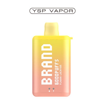 10 ml 6000 Puff Vape E cigarrillo caja de vaporizador descargable recargable